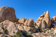 2022-04-Joshua-tree-NP-069-Pano