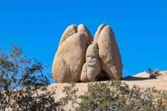 2022-04-Joshua-tree-NP-083