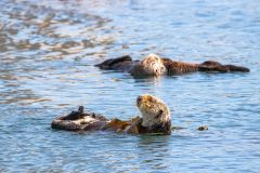 2022-10-Big-Sur-307