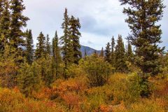 2022-08-Wrangell-St.-Elias-NP-023