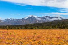 2022-08-Wrangell-St.-Elias-NP-026