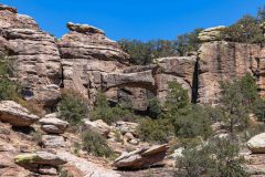 2022-04-Chiricahua-NM-180