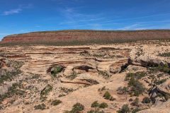 2022-05-Bears-Ears-082