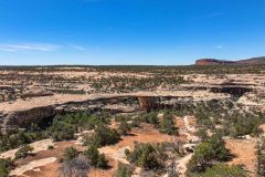 2022-05-Bears-Ears-092