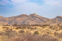 2023-08-Naukluft-Mountain-Zebra-Park-062