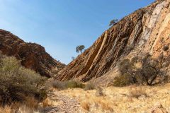 2023-08-Naukluft-Mountain-Zebra-Park-267