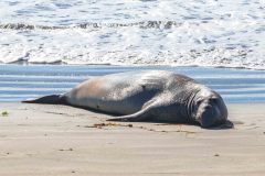 2022-10-Big-Sur-196