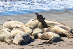 2022-10-Big-Sur-206