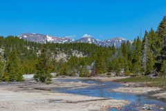 2022-06-Yellowstone-133