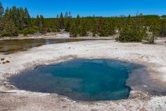 2022-06-Yellowstone-134