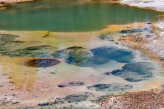 2022-06-Yellowstone-184