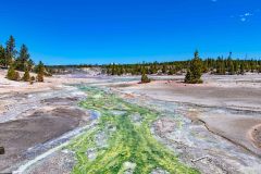 2022-06-Yellowstone-188