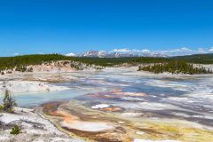 2022-06-Yellowstone-197