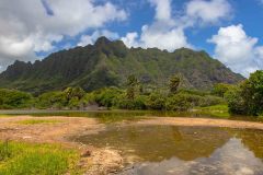 2022-04-Oahu-North-Shore-22-