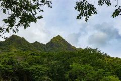 2022-04-Oahu-North-Shore-34-