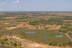 2023-10-Okavango-Delta-487