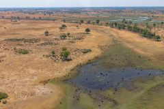 2023-10-Okavango-Delta-515