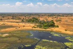 2023-10-Okavango-Delta-531