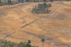 2023-10-Okavango-Delta-544