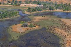 2023-10-Okavango-Delta-562