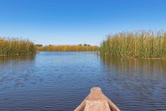 2023-10-Okavango-Delta-010