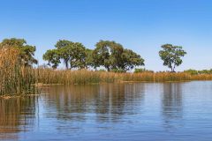 2023-10-Okavango-Delta-016