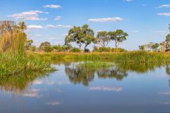 2023-10-Okavango-Delta-337