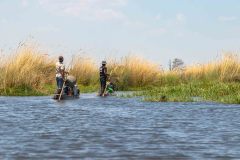 2023-10-Okavango-Delta-424