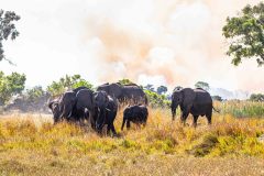 2023-10-Okavango-Delta-059