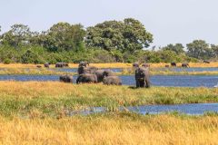 2023-10-Okavango-Delta-285