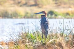 2023-10-Okavango-Delta-383