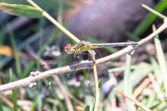 2023-10-Okavango-Delta-029