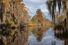 2022-11-Okefenokee-NWR-53