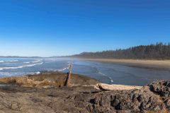 2022-09-Pacific-Rim-NP-175-Pano