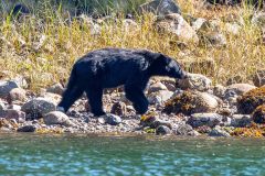 2022-09-Pacific-Rim-NP-214