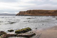 2022-11-Paracas-RN-068