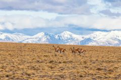 2023-03-Perito-Moreno-NP-002