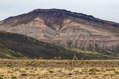 2023-03-Perito-Moreno-NP-441