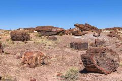 2022-05-Petrified-Forest-NP-001