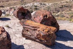 2022-05-Petrified-Forest-NP-006