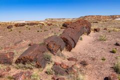 2022-05-Petrified-Forest-NP-010