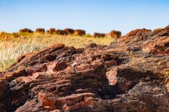 2022-05-Petrified-Forest-NP-016