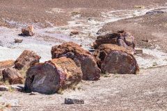 2022-05-Petrified-Forest-NP-048