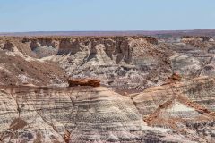 2022-05-Petrified-Forest-NP-096