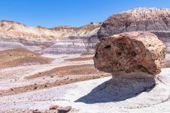 2022-05-Petrified-Forest-NP-129