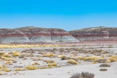 2022-05-Petrified-Forest-NP-134