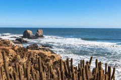 2023-05-Pichilemu-064