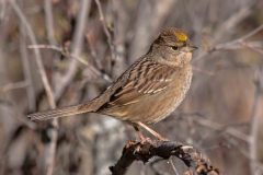 2022-10-Pinnacles-NP-120