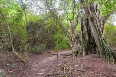 2023-06-Ibera-NP-037-Pano-sh-2