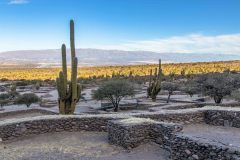 2023-06-Quebrada-de-Cafayate-003